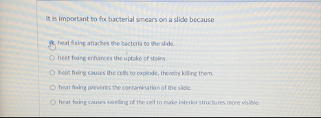 Solved It is important to fix bacterial smears on a slide | Chegg.com