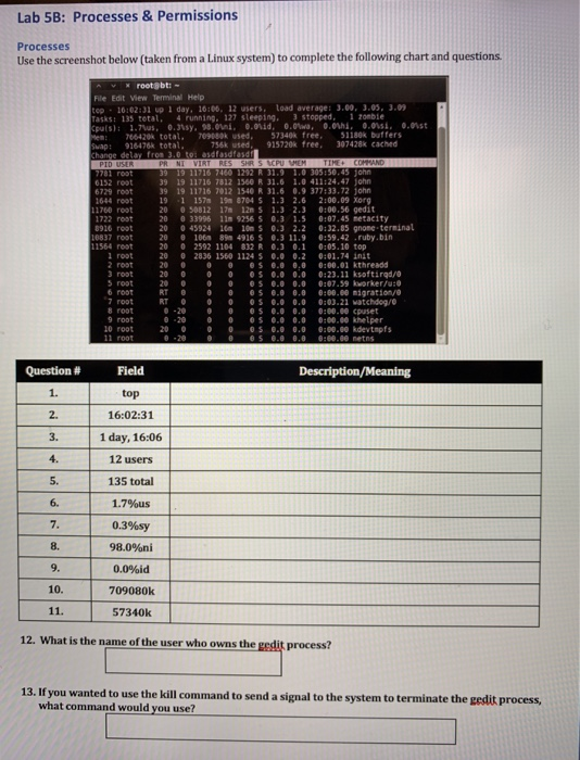 Solved Lab 5B: Processes & Permissions Processes Use the | Chegg.com