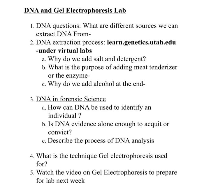 critical thinking questions about dna