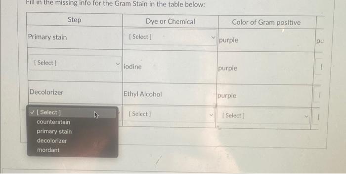 Solved Fill in the missing info for the Gram Stain in the | Chegg.com