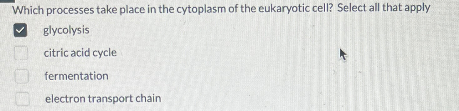Solved Which processes take place in the cytoplasm of the | Chegg.com