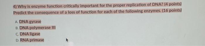 Solved . 3) Set up a Punnett square using the following | Chegg.com