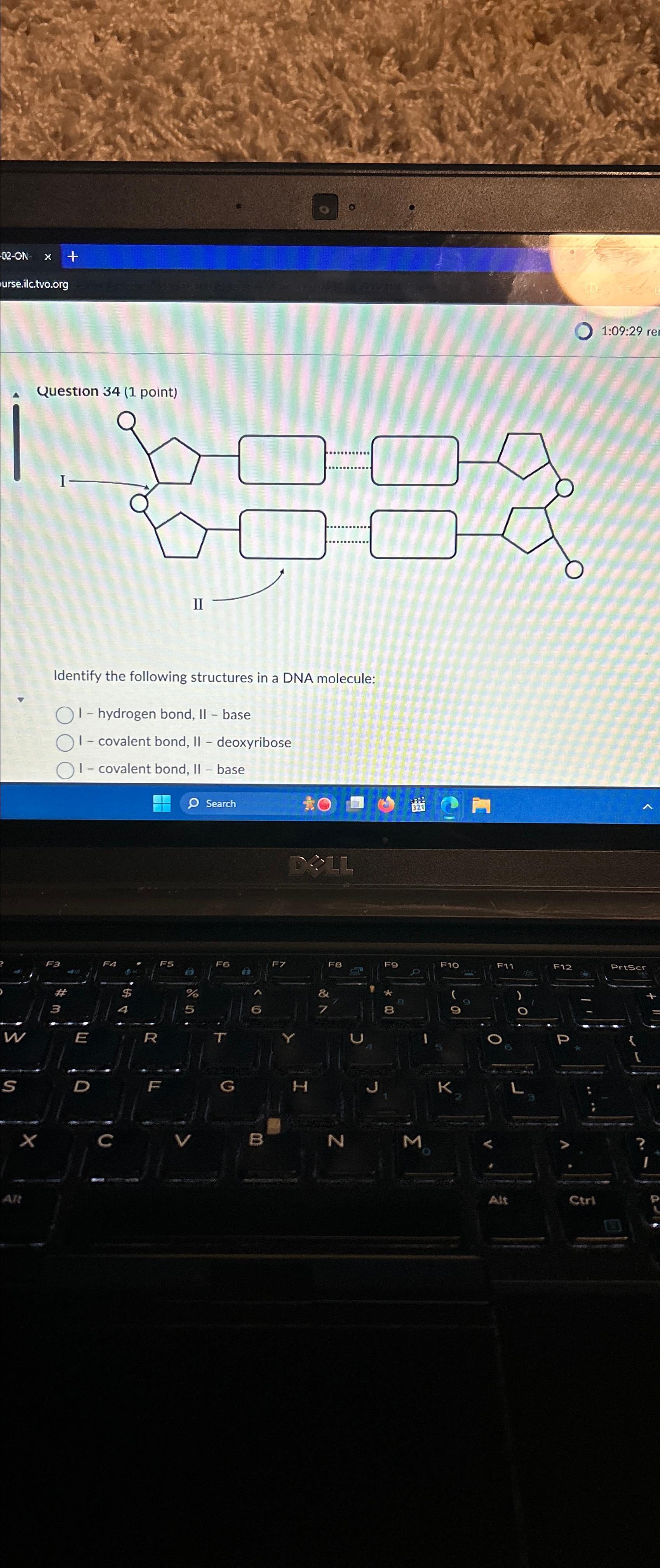 Solved Question 34 (1 ﻿point)Identify the following | Chegg.com