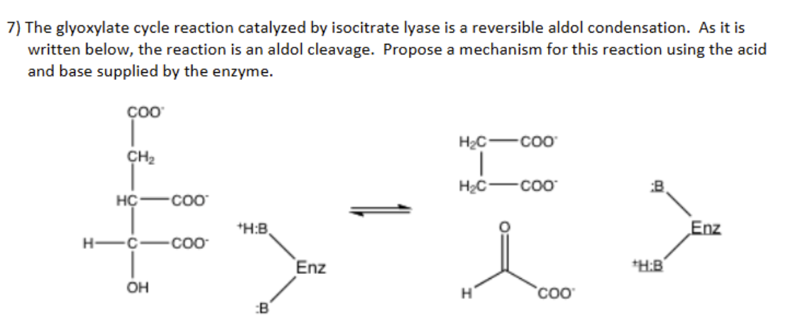 Solved The glyoxylate cycle reaction catalyzed by isocitrate | Chegg.com