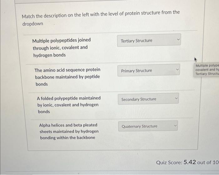 Solved Match the description on the left with the level of | Chegg.com