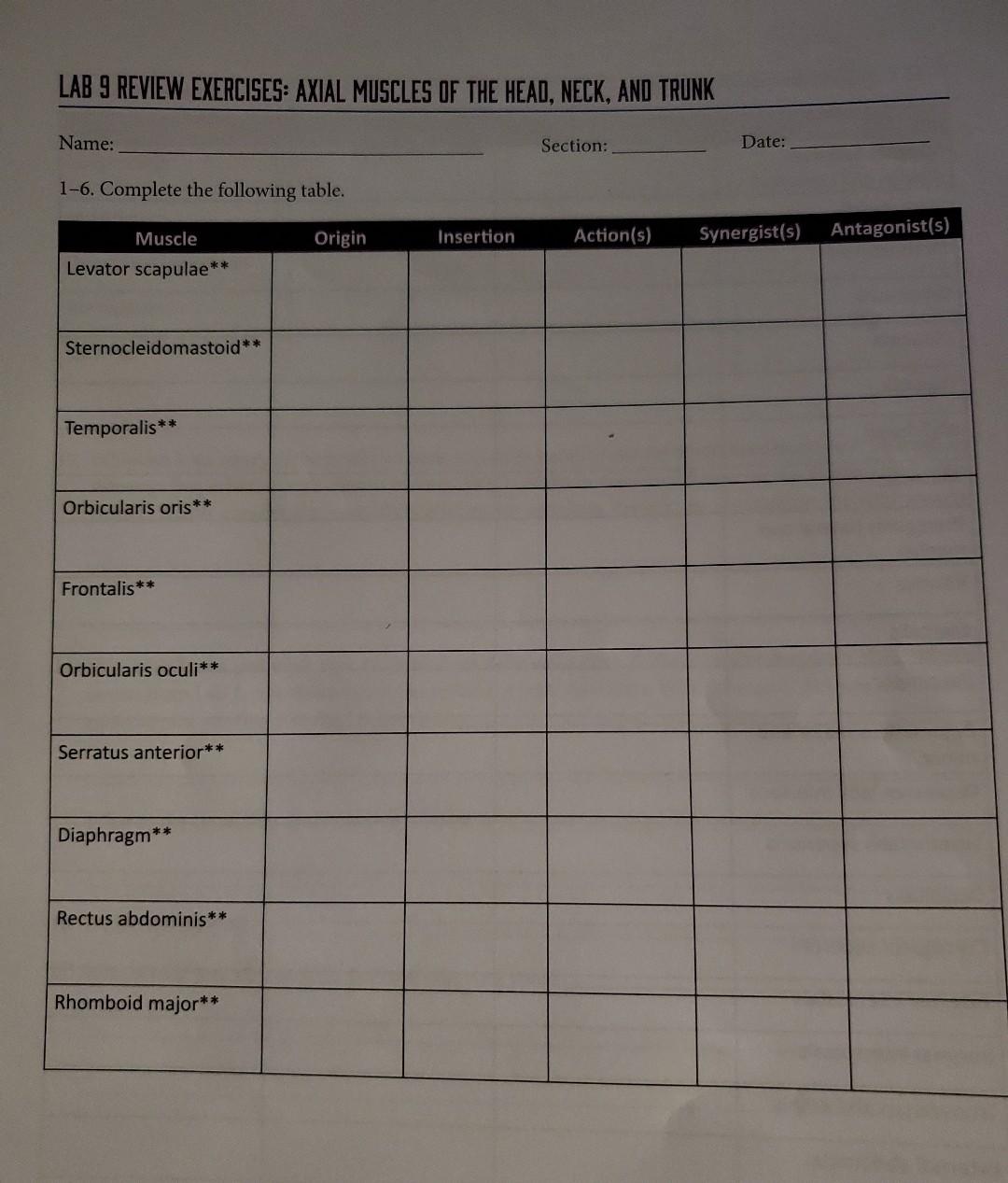 Solved LAB 9 REVIEW EXERCISES AXIAL MUSCLES OF THE HEAD Chegg