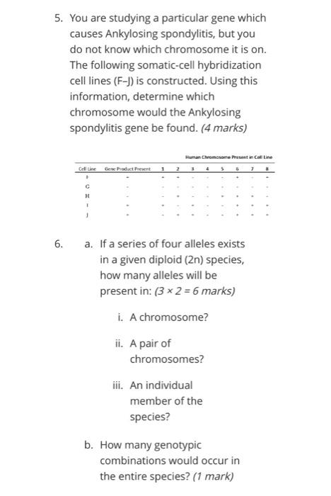 5. You are studying a particular gene which
causes Ankylosing spondylitis, but you
do not know which chromosome it is on.
The