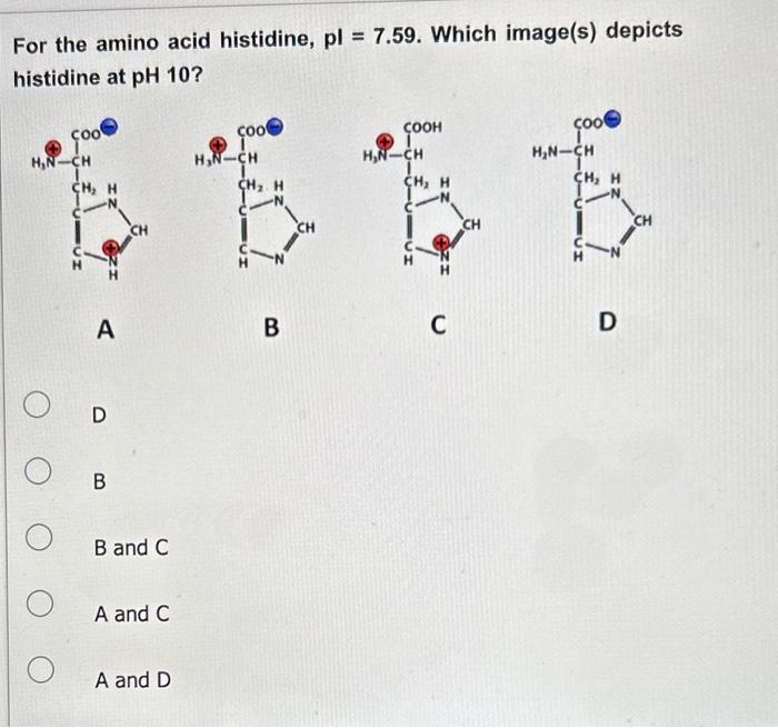 Solved For the amino acid histidine, pl=7.59. Which image(s) | Chegg.com