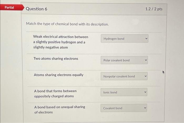 Solved Partial Question 6 1.2 / 2 pts Match the type of | Chegg.com