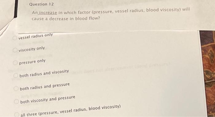 Solved Question 12 An increase in which factor (pressure, | Chegg.com