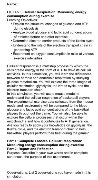 OL Lab 3: Cellular Respiration: Measuring energy consumption during exercise
Learning Objectives:
- Explain the structural ch