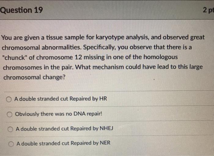 Question 19 2 pt You are given a tissue sample for karyotype analysis, and observed great chromosomal abnormalities. Specific