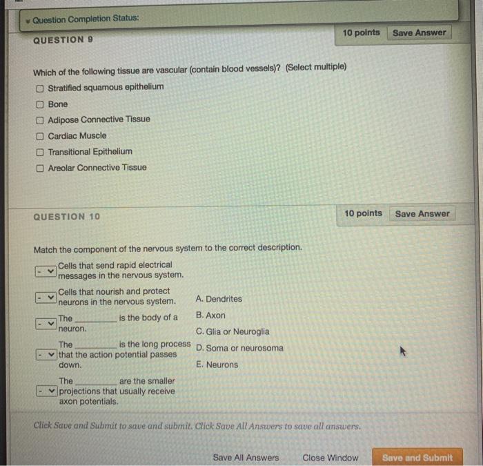 Solved Question Completion Status: 10 points Savo Answer | Chegg.com