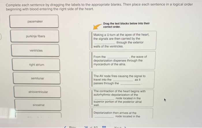 solved-complete-each-sentence-by-dragging-the-labels-to-the-chegg