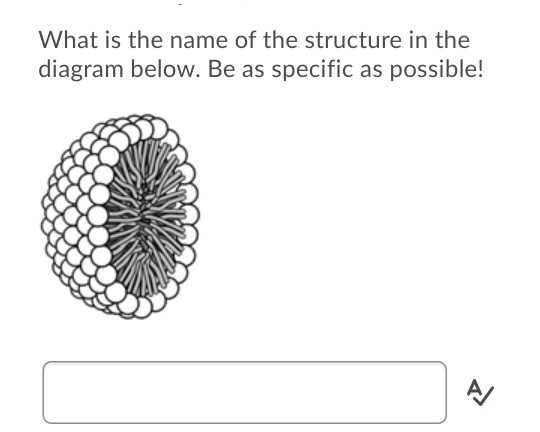 Solved What is the name of the structure in the diagram | Chegg.com