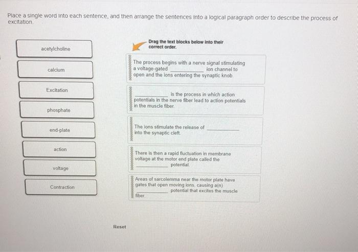 solved-place-a-single-word-into-each-sentence-and-then-chegg