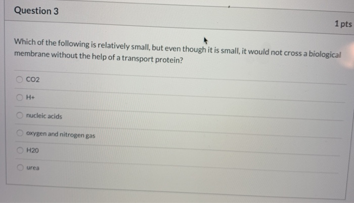 Solved Question 3 1 pts Which of the following is relatively | Chegg.com