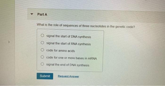 Solved Part A During protein synthesis, the codon for an | Chegg.com