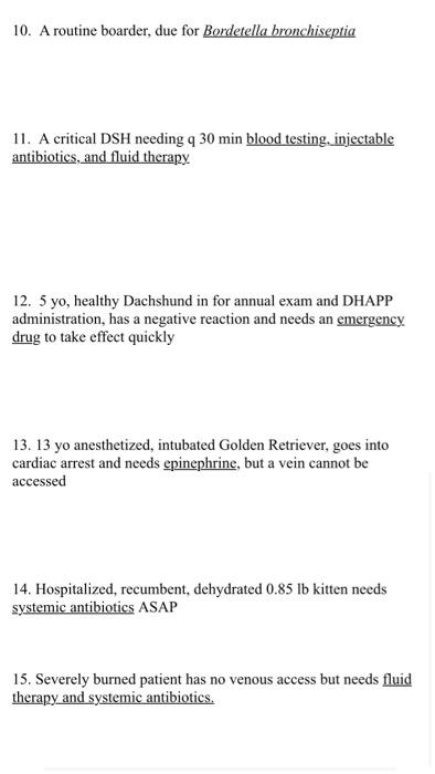 10. A routine boarder, due for Bordetella bronchiseptia 11. A critical DSH needing 9 30 min blood testing, injectable antibio