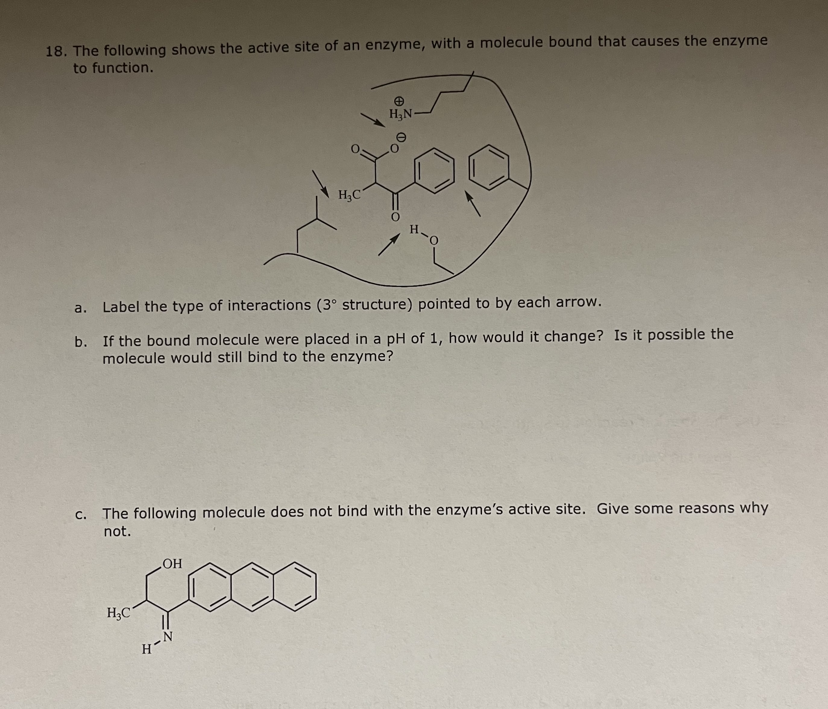 Solved 18. ﻿The following shows the active site of an | Chegg.com