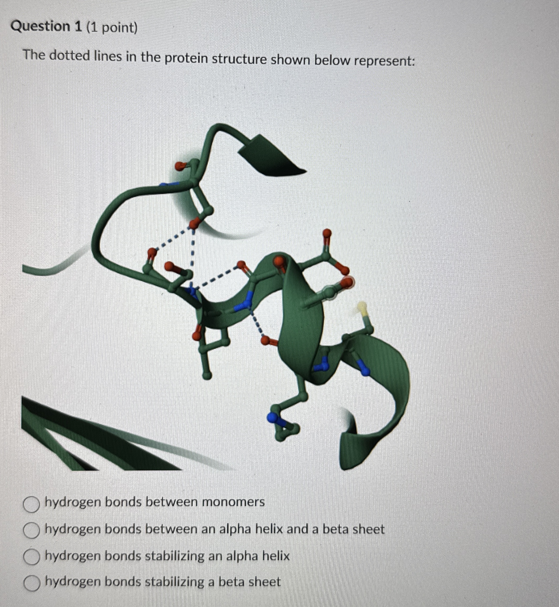 Solved Question 1 (1 ﻿point)The dotted lines in the protein | Chegg.com image.