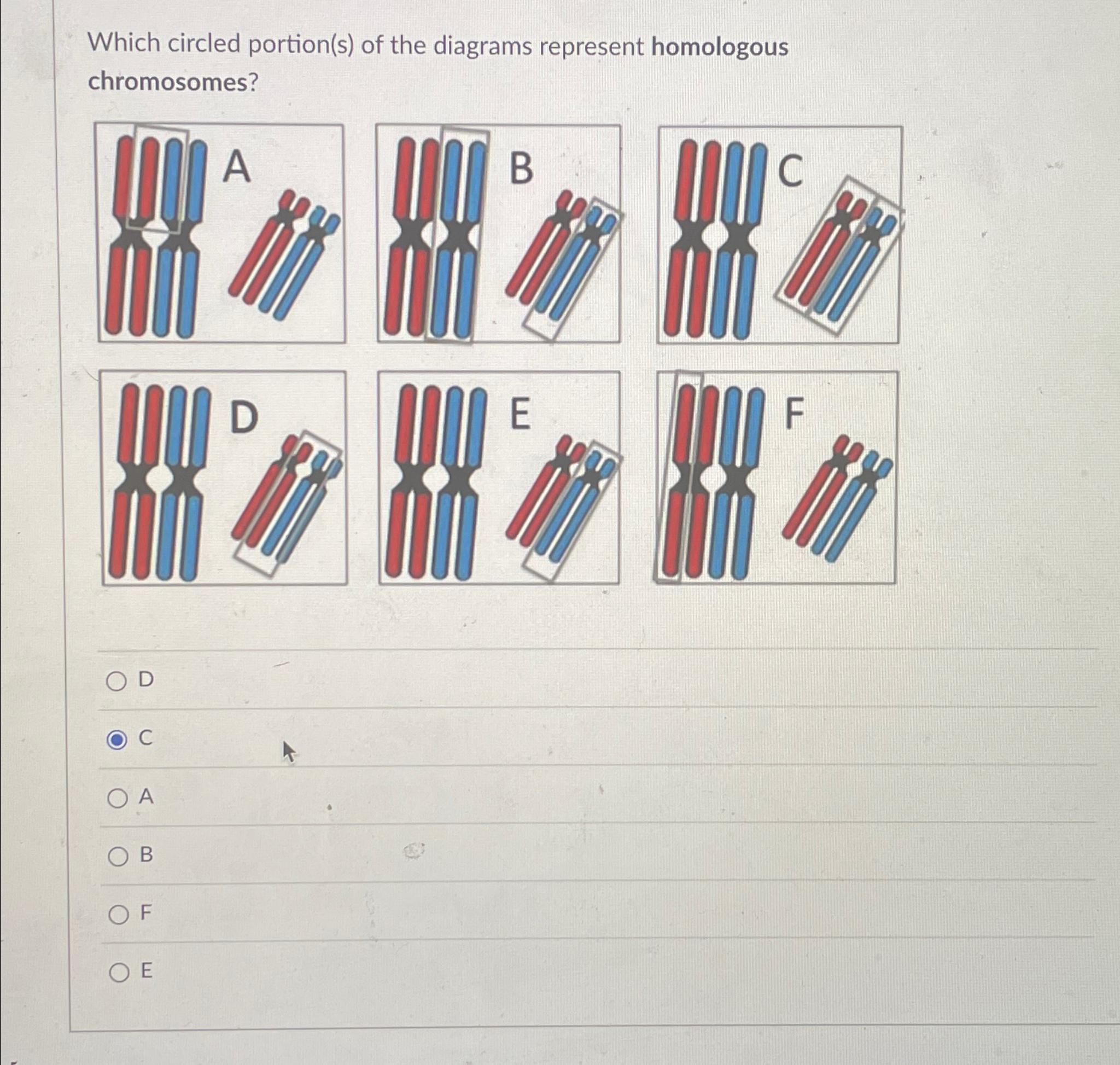 Solved Which circled portion(s) ﻿of the diagrams represent | Chegg.com