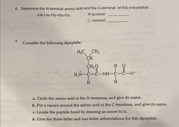 Solved 8. Determine the N-terminal amino acid and the | Chegg.com