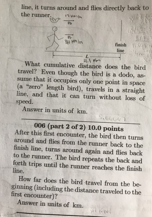 Solved A runner is jogging in a straight line at a steady | Chegg.com