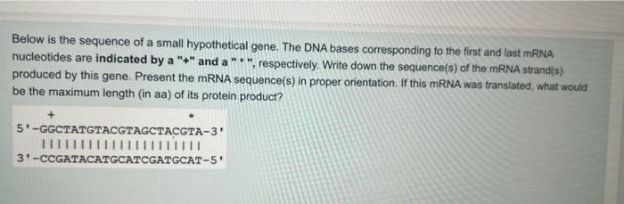 Solved Below is the sequence of a small hypothetical gene. | Chegg.com