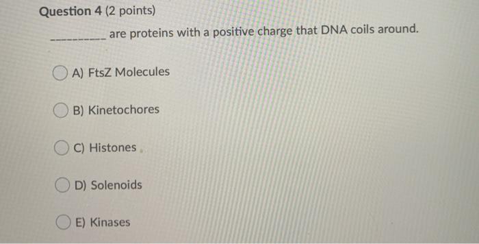 Solved Question 3 (2 points) Why is sunlight important | Chegg.com