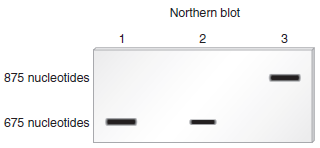 chapter 20 describes a technique known