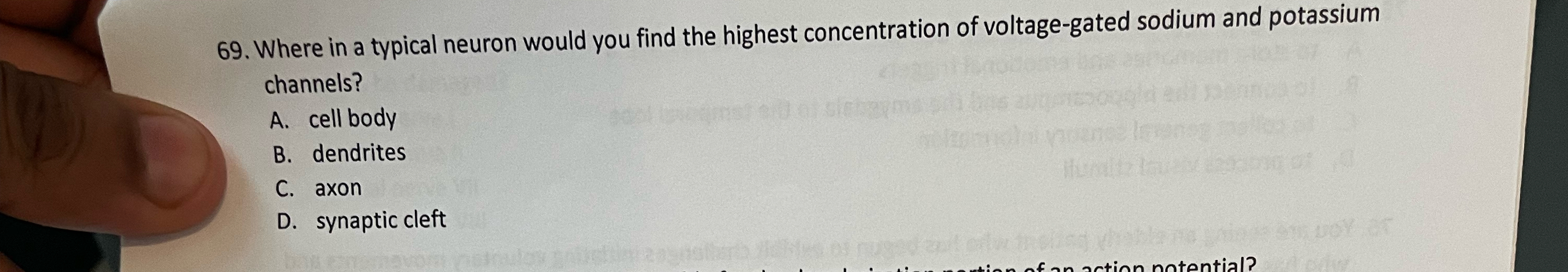 Solved Where in a typical neuron would you find the highest Chegg com