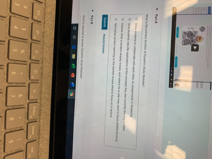 Solved: Part A What Is The Primary Function Of Dynamic Stu... | Chegg.com
