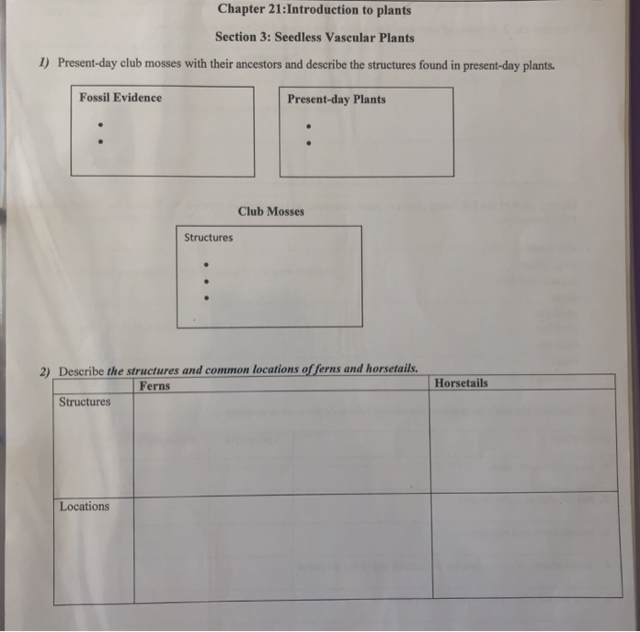 Chapter 21 Introduction To Plants Section 3 Chegg 