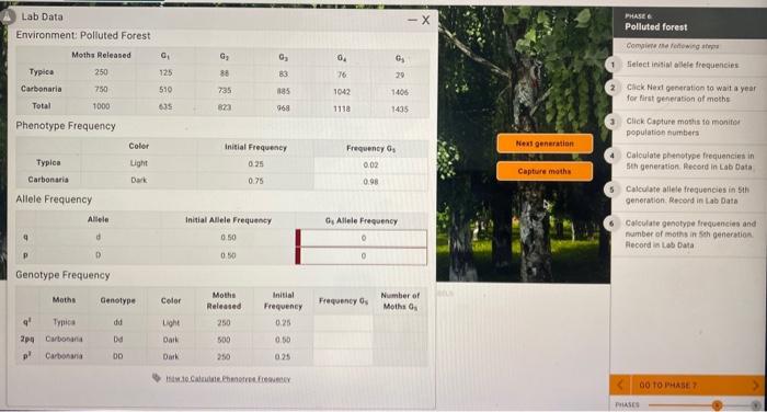 Unlocking Genetic Secrets Calculate 5Th Generation Allele Frequencies - cts0j62