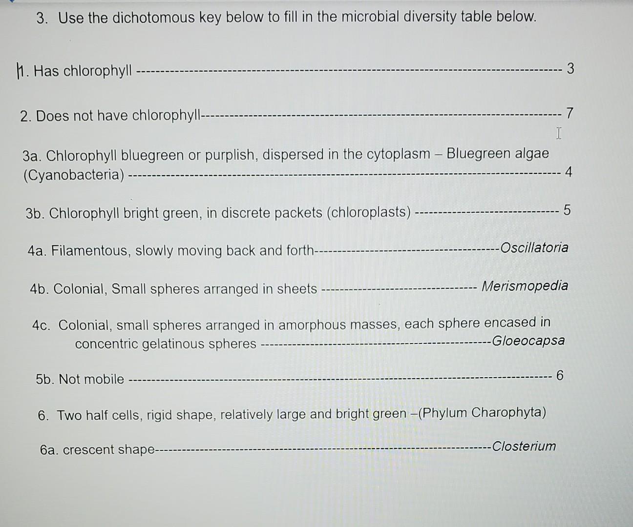 Solved 3. Use the dichotomous key below to fill in the | Chegg.com
