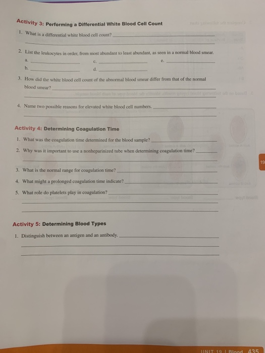 Solved Activity 3: Performing a Differential White Blood | Chegg.com