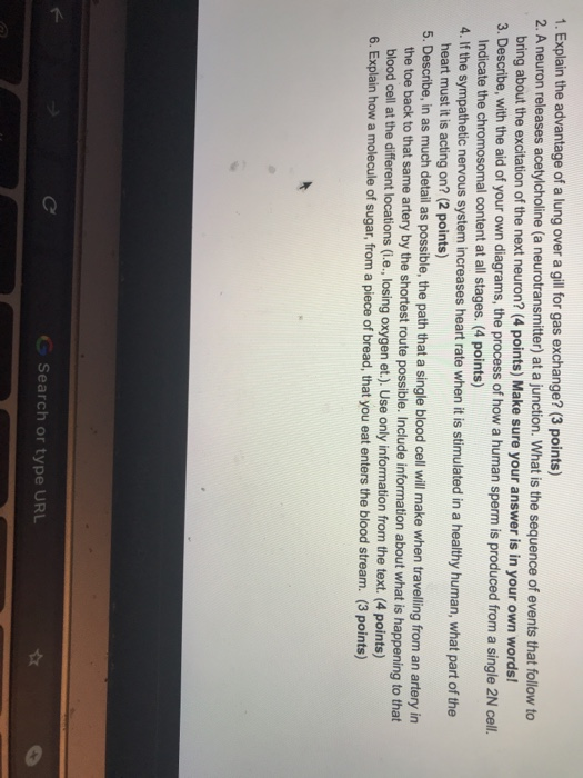 Solved 1. Explain the advantage of a lung over a gill for | Chegg.com