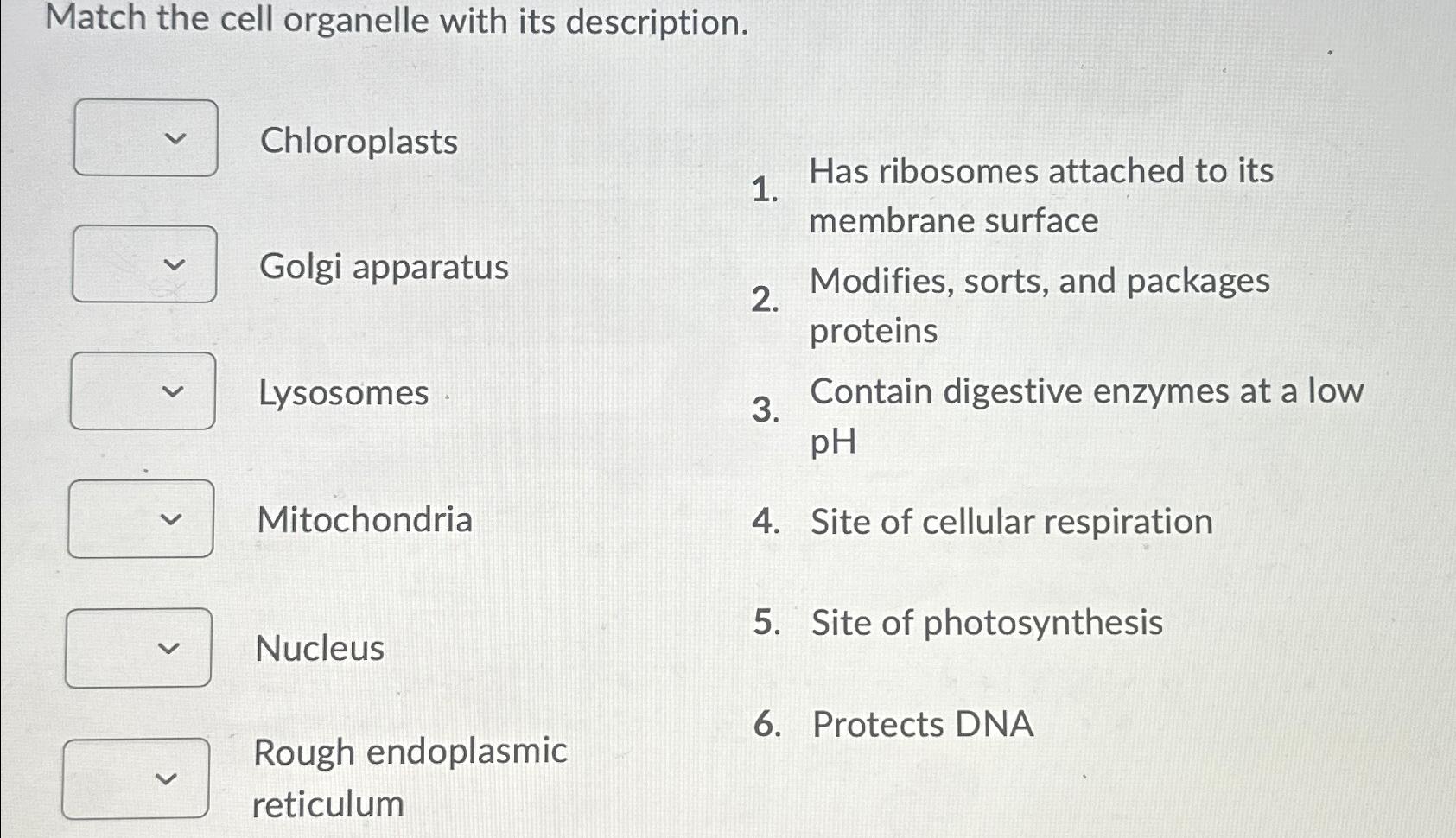 Solved Match the cell organelle with its | Chegg.com