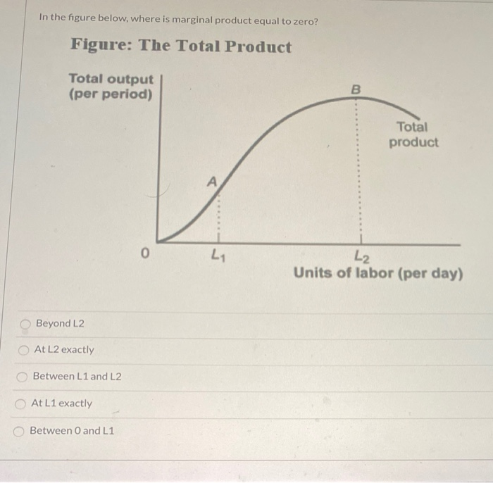 Solved In The Figure Below, Where Is Marginal Product Equal | Chegg.com