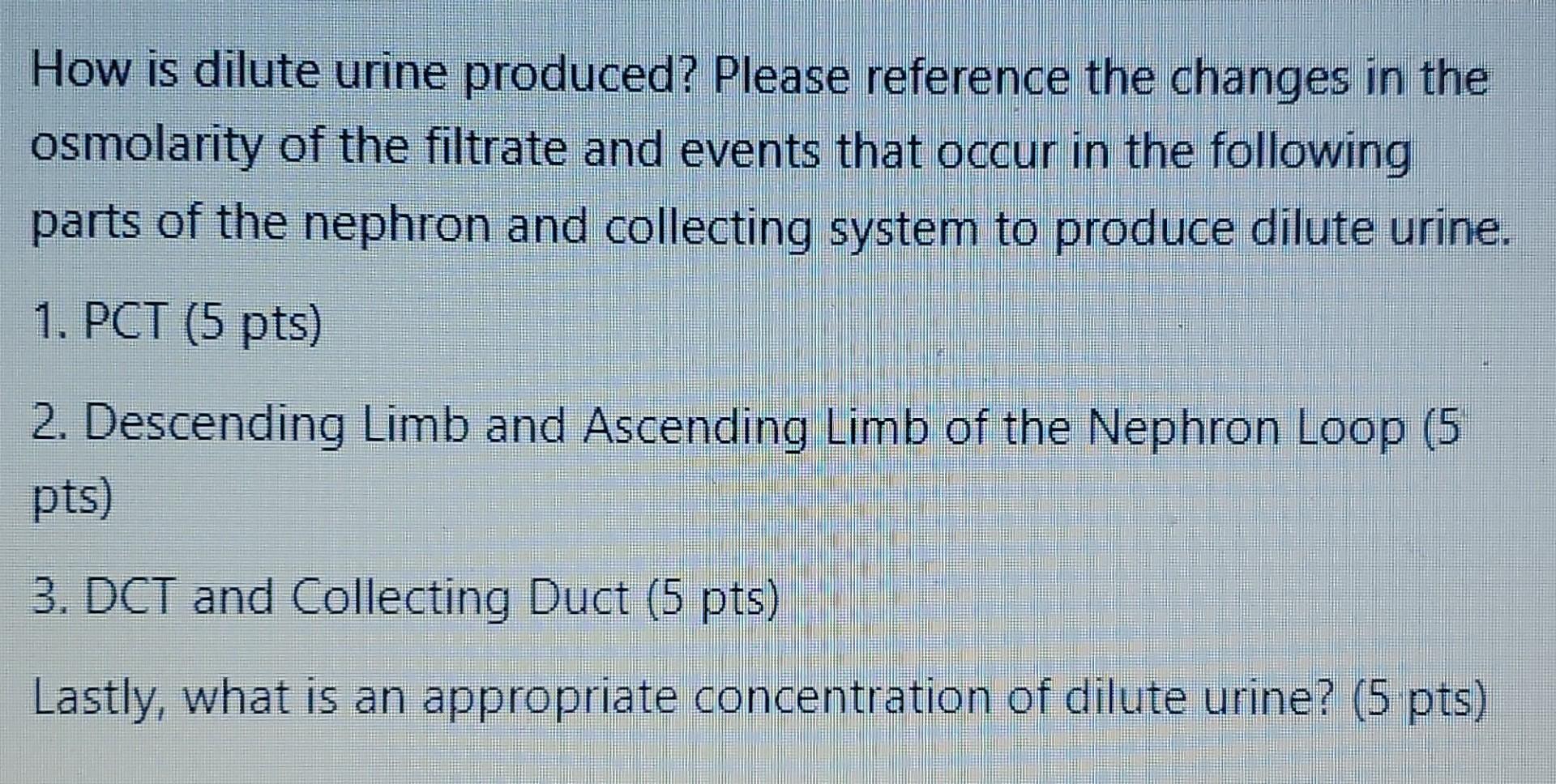 Solved How is dilute urine produced? Please reference the