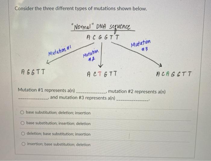 Solved Consider the three different types of mutations shown | Chegg.com