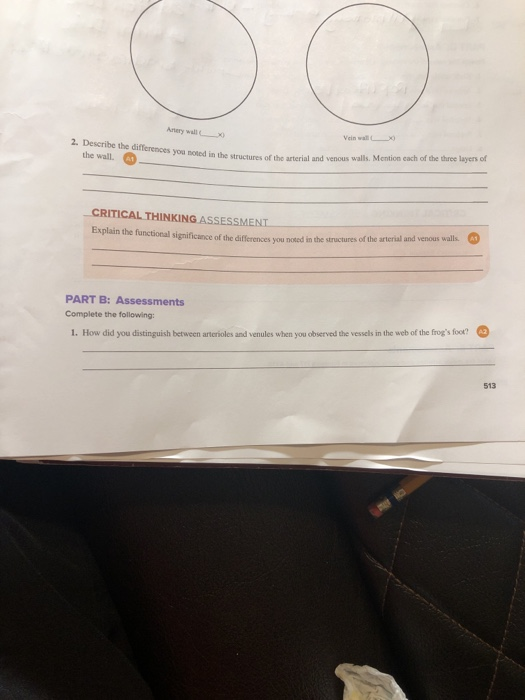 Name Laboratory Assessment Date Section 47 The Cor Chegg Com