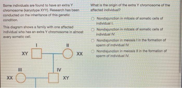 diagram of xyy