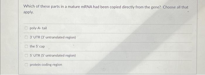 Solved Which of these parts in a mature mRNA had been copied | Chegg.com