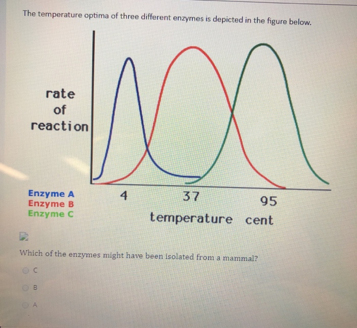 Solved Which Of The Enzymes Might Have Been Isolated From Chegg Com