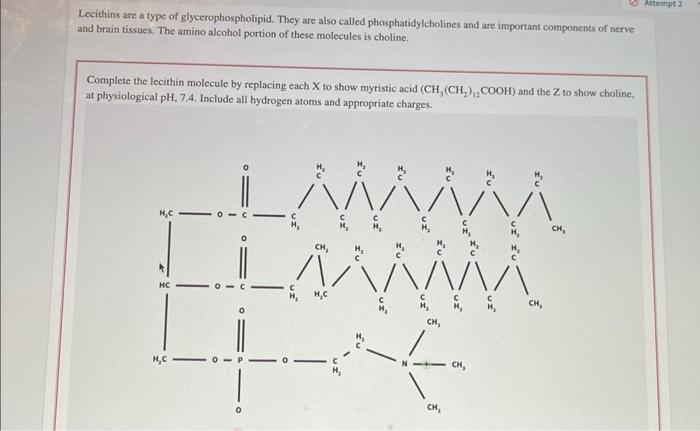 Lecithins are a type of glycerophospholipid. They are also called phosphatidylcholines and are important components of nerve 