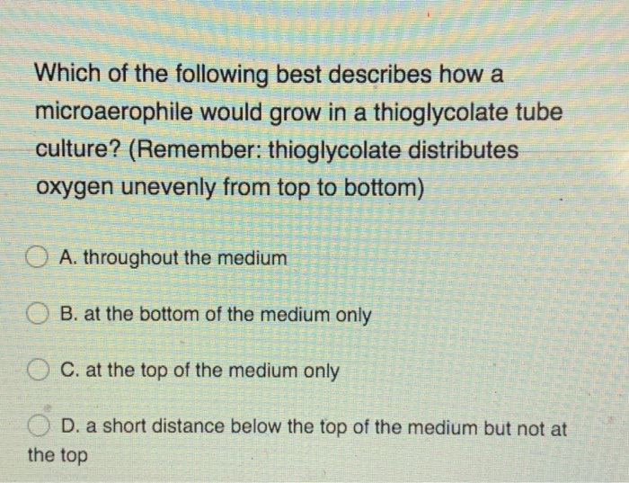 Solved Which Of The Following Best Describes How A | Chegg.com