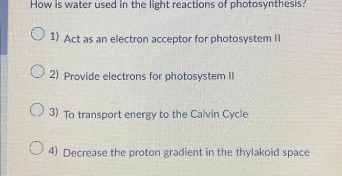 what is water used for in the light reactions of photosynthesis