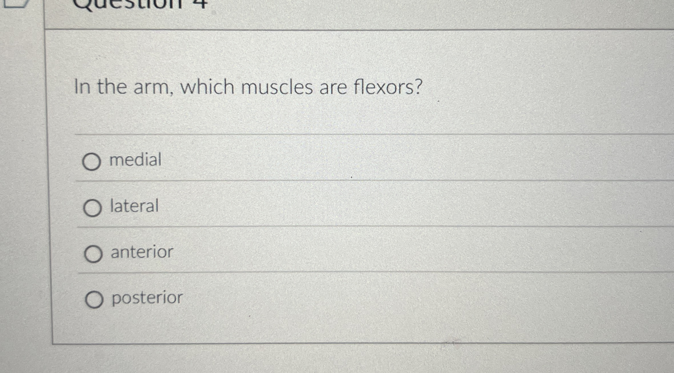 Solved In the arm, which muscles are